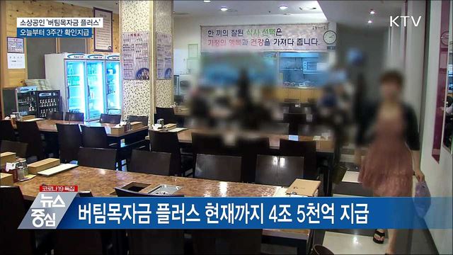 &#39;버팀목자금 플러스&#39; 오늘부터 3주간 확인지급