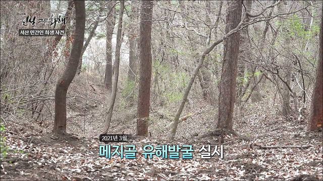 전쟁의 그늘 - 서산 민간인 희생 사건