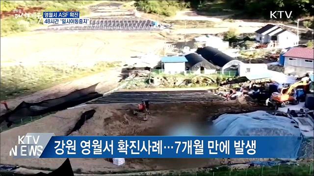 영월서 ASF 확진···48시간 &#39;일시이동중지&#39;