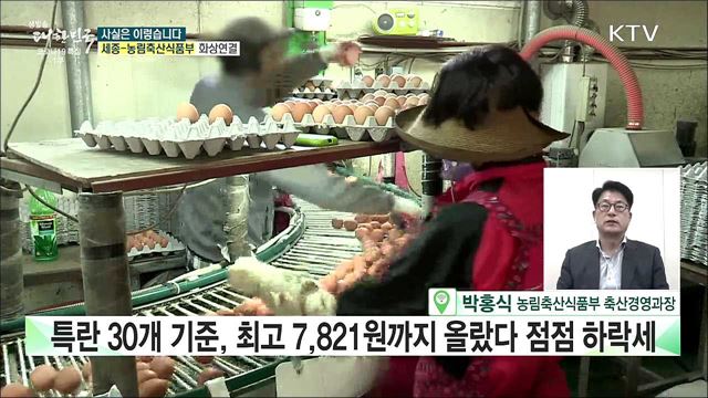 &#39;금란 파동&#39;, 6월이면 해소 현실 반영 못하고 있다? [사실은 이렇습니다]