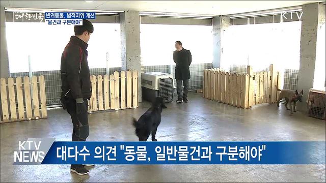 &#39;반려동물&#39; 법적지위 개선 논의···&#34;물건과 구분&#34;