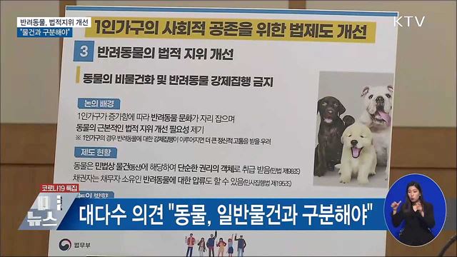 &#39;반려동물&#39; 법적지위 개선 논의···&#34;물건과 구분&#34;