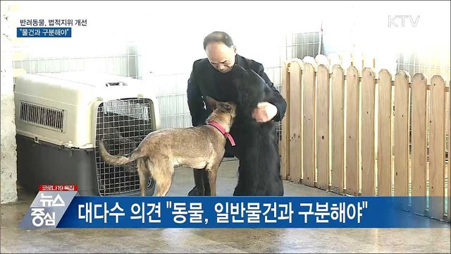 &#39;반려동물&#39; 법적지위 개선 논의···&#34;물건과 구분&#34;