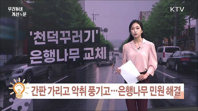 점용허가 문제로 4년간 제자리···관계기관 협의로 해결 / 간판 가리고 악취 풍기고···은행나무 민원 해결