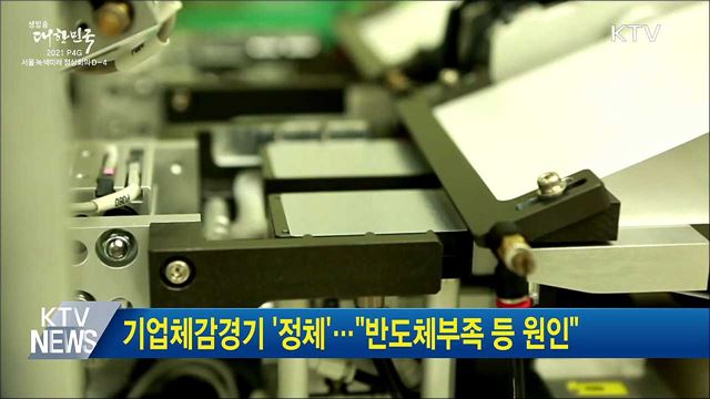 기업체감경기 &#39;정체&#39;···&#34;반도체부족 등 원인&#34;