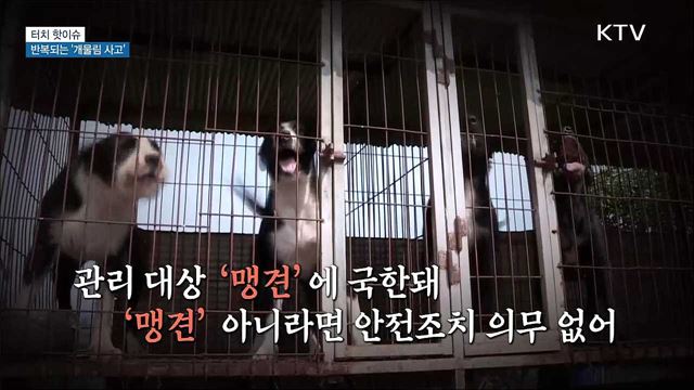 반복되는 &#39;개물림 사고&#39;···&#34;관리 대상 확대해야&#34; [터치 핫이슈]
