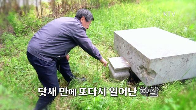 진실 그리고 화해 시즌2 하이라이트 미리보기 - 수복 이후의 학살-담양 11사단 사건