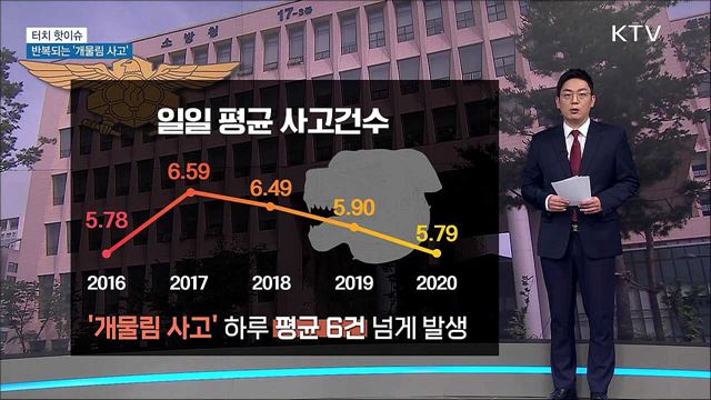 반복되는 &#39;개물림 사고&#39;···&#34;관리 대상 확대해야&#34; [터치 핫이슈]