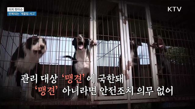 반복되는 &#39;개물림 사고&#39;···&#34;관리 대상 확대해야&#34; [터치 핫이슈]
