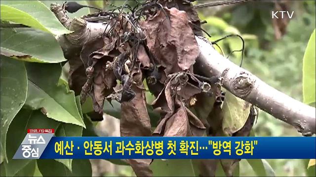 예산·안동서 과수화상병 첫 확진···&#34;방역 강화&#34;