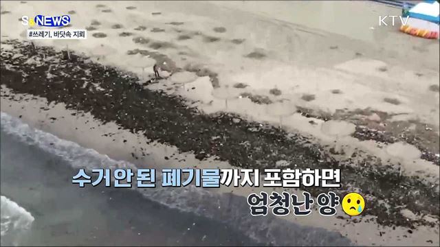 해양 쓰레기! 눈에 보이는게 전부가 아니다 [S&#38;News]