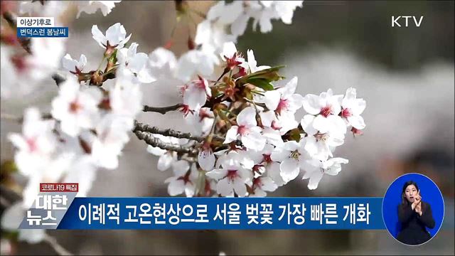 고온·한파·비···&#39;이상기후&#39;로 변덕스러운 봄날씨