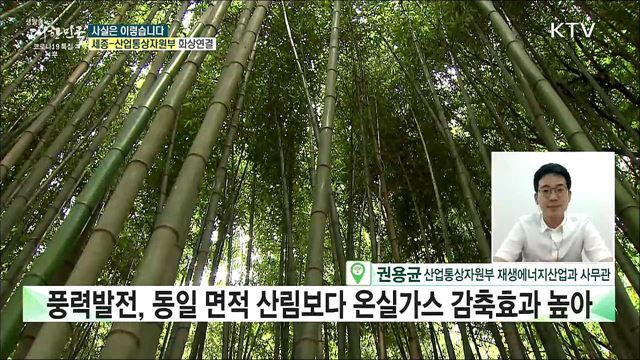 인공조림지에 풍력단지···환경 훼손하는 재생에너지 정책? [사실은 이렇습니다]