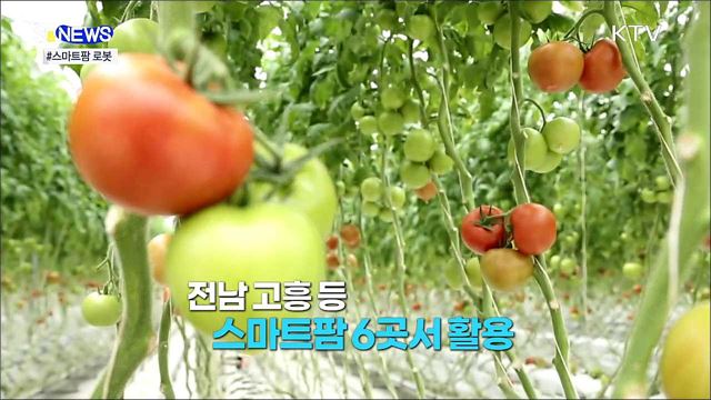 농가의 든든한 일꾼 &#39;스마트팜&#39; 국산 로봇 [S&#38;News]