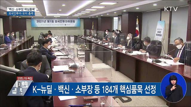 &#39;백신·소부장 핵심품목&#39; 외국인투자 유치 총력