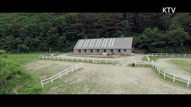 (MV) 풍경소리 시즌4 하이라이트 미리보기 - 말과 함께 하는 동행, 마필관리사