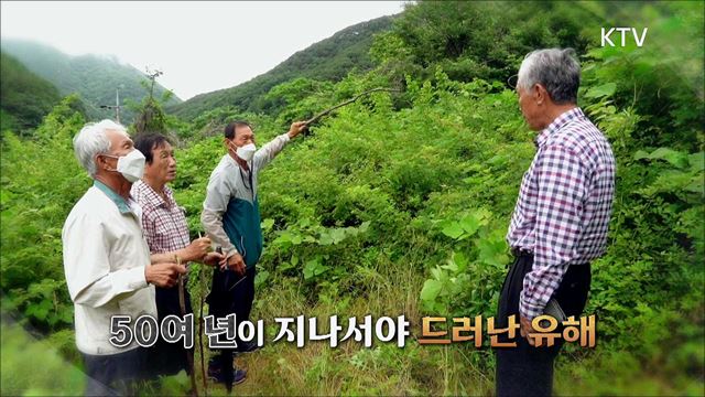 (하이라이트) 진실 그리고 화해 시즌2 하이라이트 미리보기 - 전쟁 초기 학살-진주 민간인 희생 사건