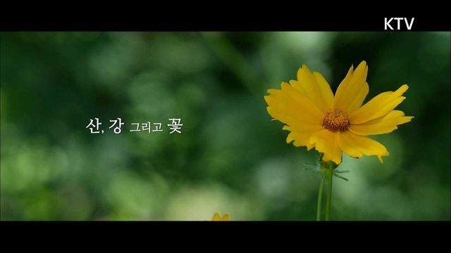 (예고) 풍경소리 시즌4 예고 미리보기 - 강원도 인제 소양강 냇강마을 심포니