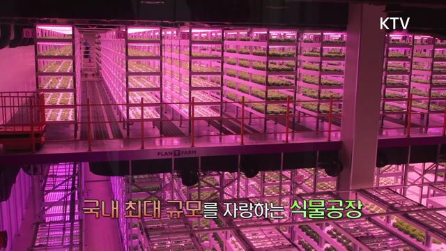 (하이라이트) 한국판 뉴딜, 나의 뉴딜 하이라이트 미리보기 - 미래 먹거리를 이끌다 스마트 농업시대