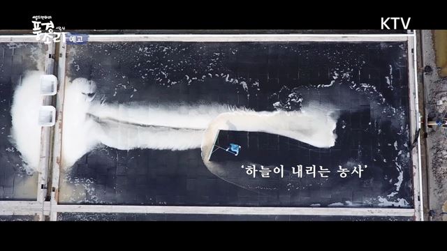 (예고) 풍경소리 시즌4 예고 미리보기 - 태양과 바람, 바다가 키운 보석