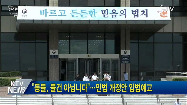 &#34;동물, 물건 아닙니다&#34;···민법 개정안 입법예고