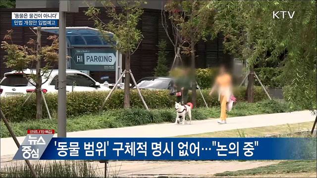 &#39;동물은 물건이 아니다&#39;···민법 개정안 입법예고