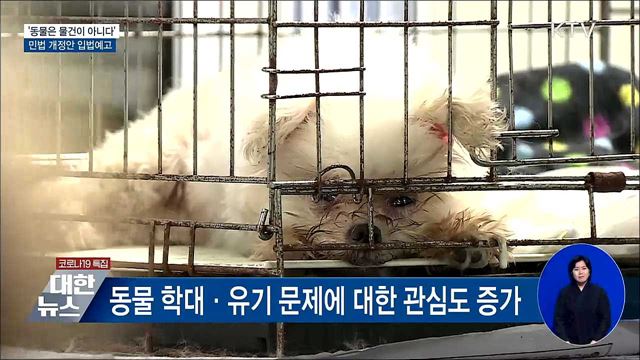 &#39;동물은 물건이 아니다&#39;···민법 개정안 입법예고