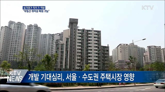 &#39;실거래가 띄우기&#39; 적발···&#34;부동산 취약성 확대 가능&#34;
