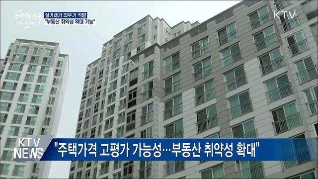 &#39;실거래가 띄우기&#39; 적발···&#34;부동산 취약성 확대 가능&#34;