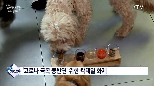 &#39;코로나 극복 동반견&#39; 위한 칵테일 화제 [굿모닝 해외토픽]
