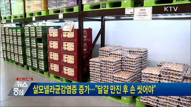 살모넬라균감염증 증가···&#34;달걀 만진 후 손 씻어야&#34;