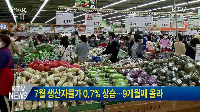 7월 생산자물가 0.7&#37; 상승···9개월째 올라