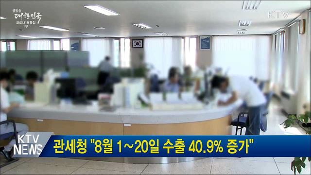 관세청 &#34;8월 1∼20일 수출 40.9&#37; 증가&#34;