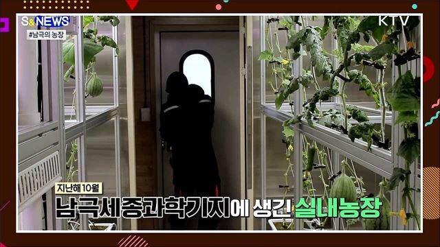 남극에서 애호박 된장찌개 먹는다?! [S&#38;News]
