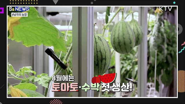 남극에서 애호박 된장찌개 먹는다?! [S&#38;News]