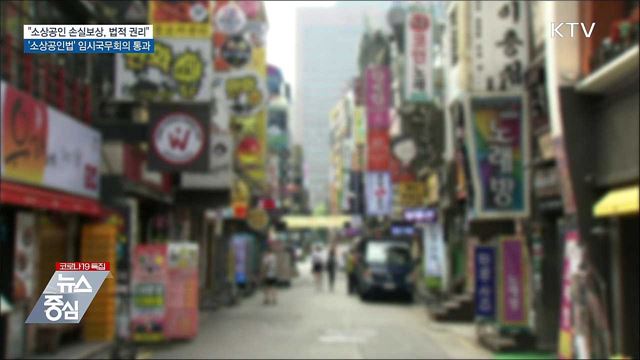 &#34;소상공인 손실보상, 법적 권리&#34;···소상공인법 의결