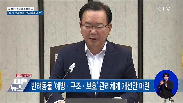 유기 반려동물 '예방·구조·보호' 관리체계 개선 [오늘의 브리핑]