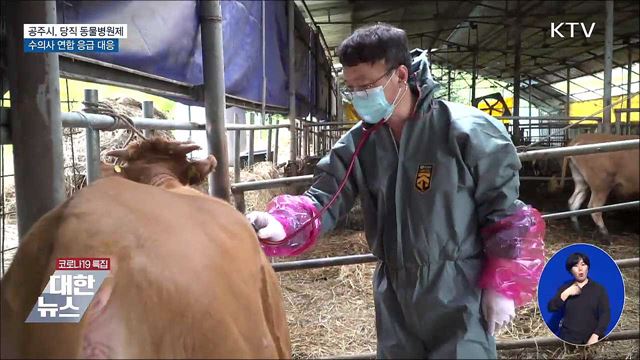 휴일 가축 응급진료···&#39;당직 동물병원제&#39; [우리동네 개선문]