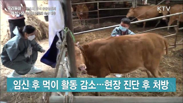 휴일 가축 응급진료···'당직 동물병원제' 