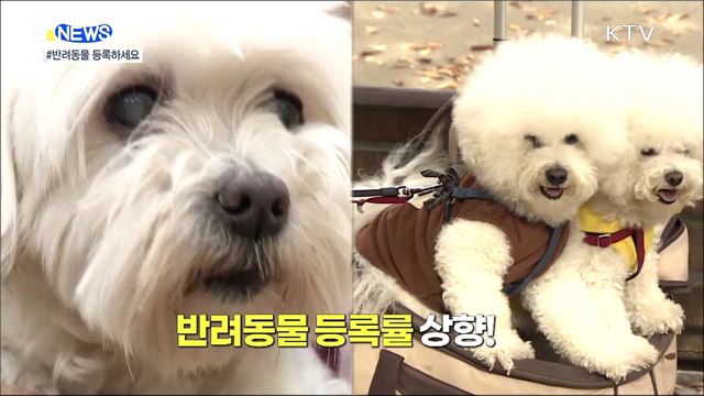 반려동물 유기 없도록···등록률 70&#37;로 상향 [S&#38;News]