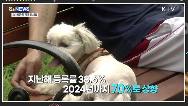 반려동물 유기 없도록···등록률 70&#37;로 상향 [S&#38;News]