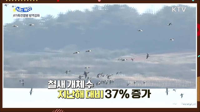 반려동물 유기 없도록···등록률 70&#37;로 상향 [S&#38;News]