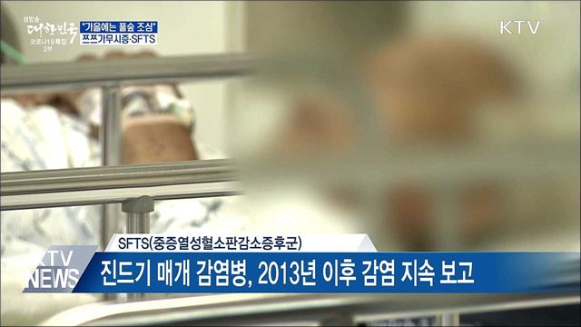 &#34;가을에는 풀숲 조심&#34;···쯔쯔가무시·SFTS 주의