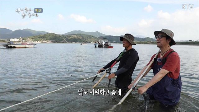 (예고) 산이 좋아 물이 좋아 시즌2 예고 미리보기 - 강에서 찾은 보물 - 섬진강 재첩잡이