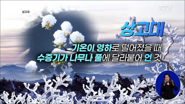 NDC [뉴스링크]