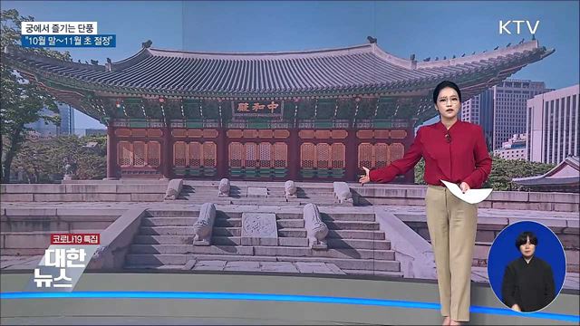 궁에서 즐기는 단풍···&#34;10월 말~11월 초 절정&#34;