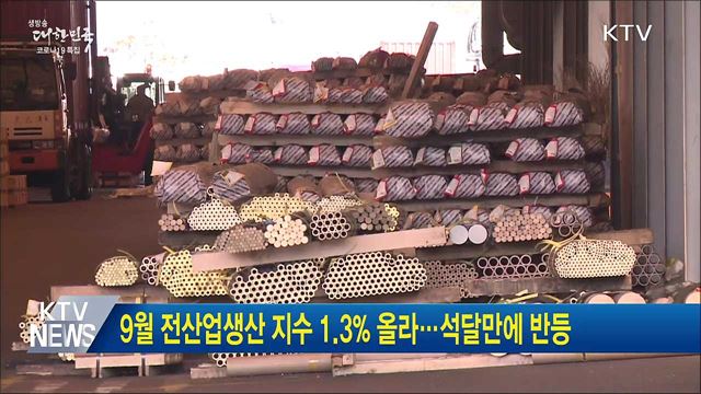 9월 전산업생산 지수 1.3&#37; 올라···석달만에 반등