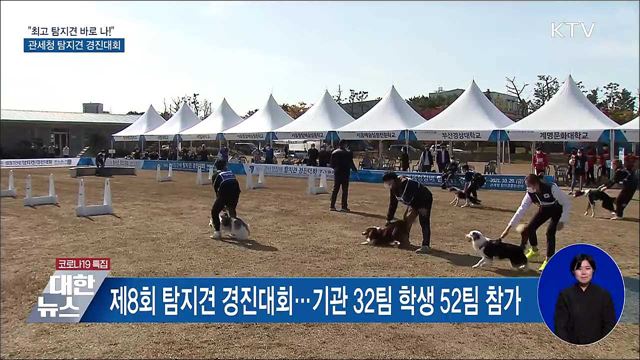 &#34;최고 탐지견 바로 나!&#34;···관세청 탐지견 경진대회