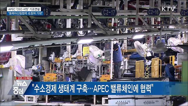 APEC &#39;CEO 서밋&#39;···&#34;동북아 산림협력 북 참여 기대&#34;
