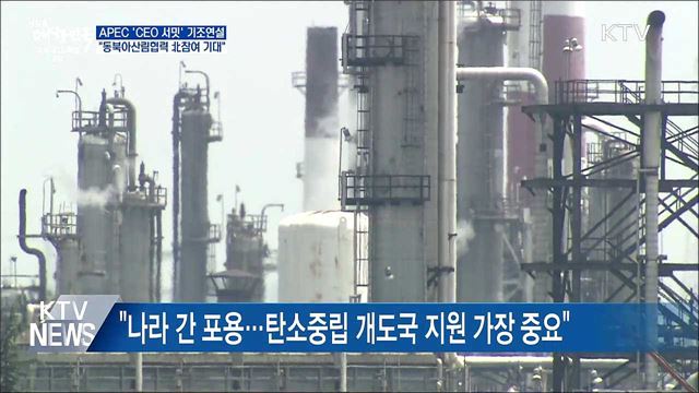 APEC &#39;CEO 서밋&#39;···&#34;동북아 산림협력 북 참여 기대&#34;
